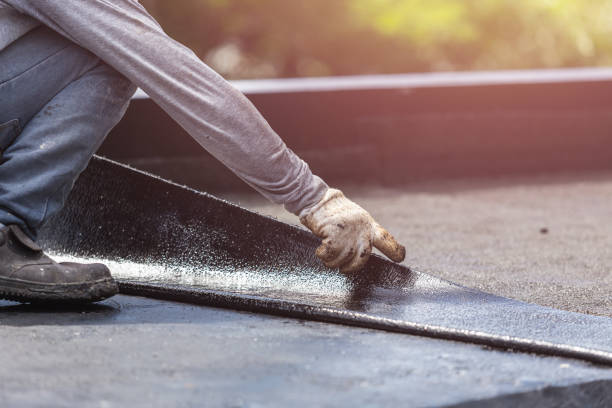Professional Interior Drainage System technician working in Linden, TN
